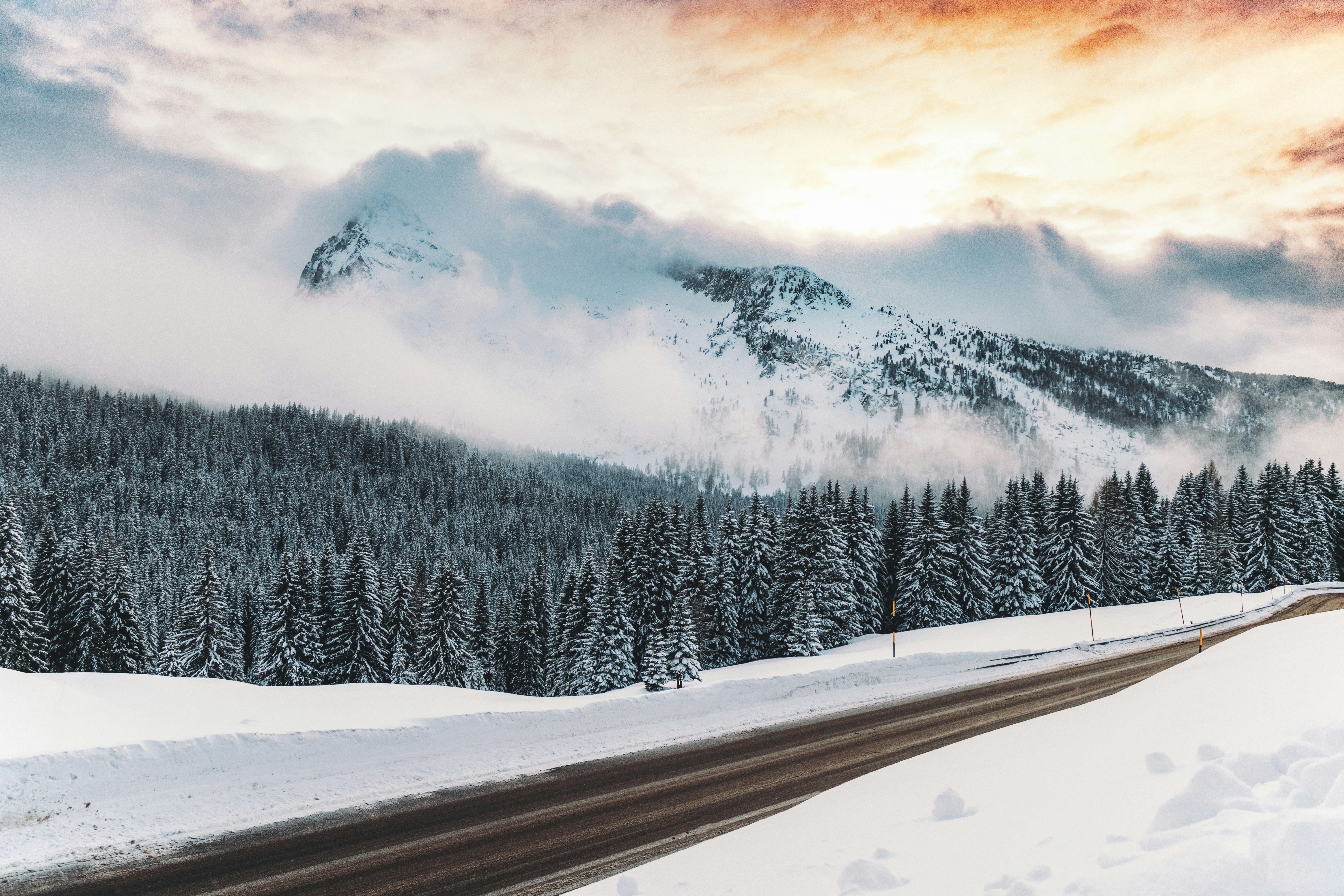 snowy mountain and trees